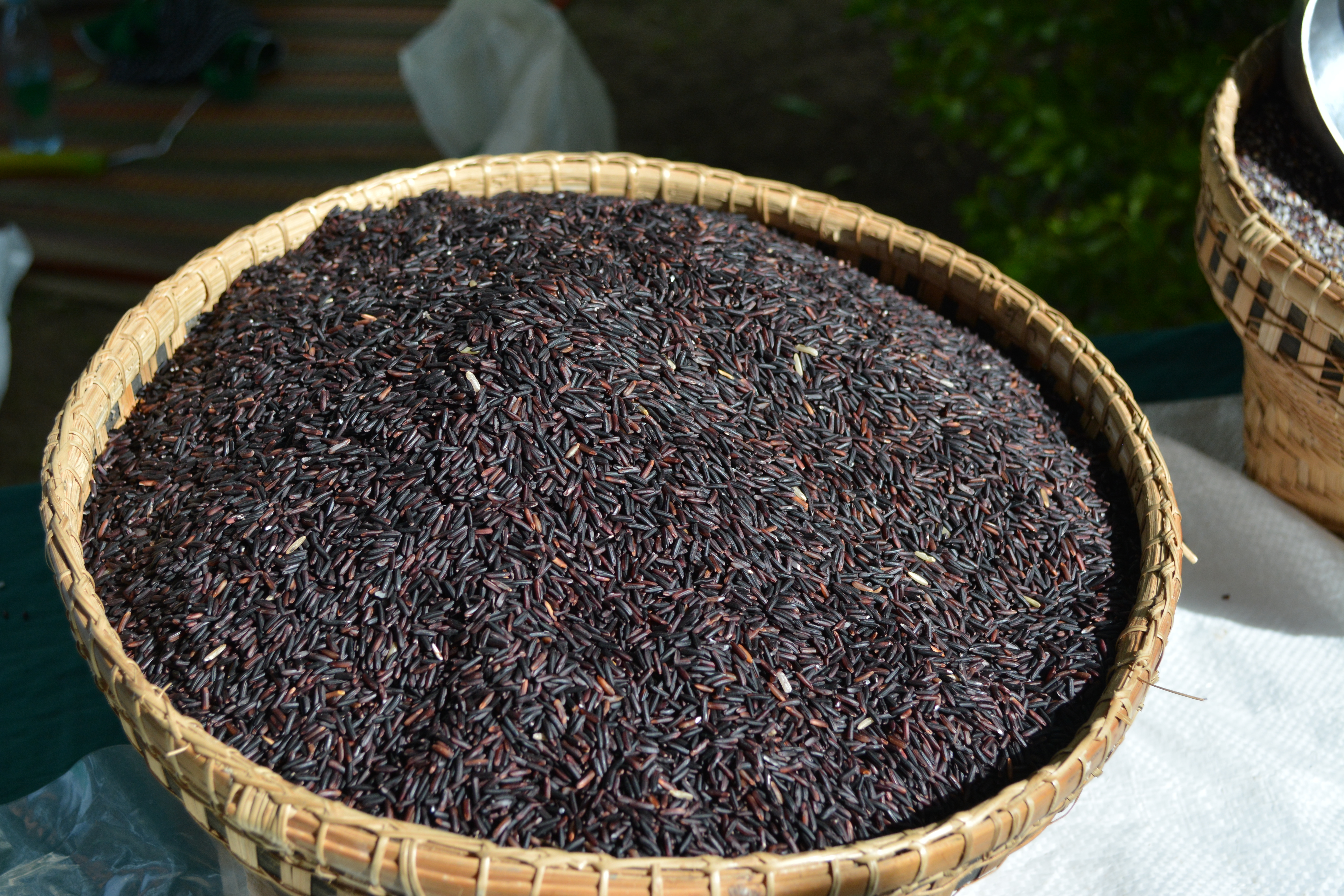 Schwarzer Jasmin